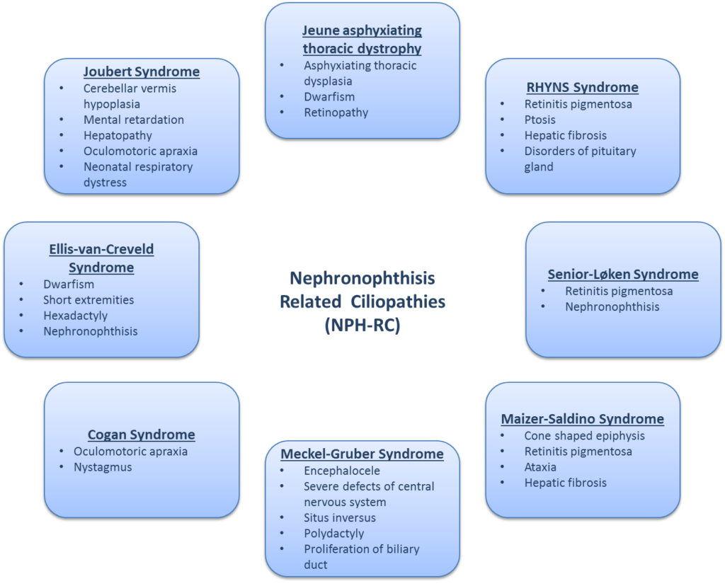 Nephronophthisis And Extrarenal Symptoms Neocyst